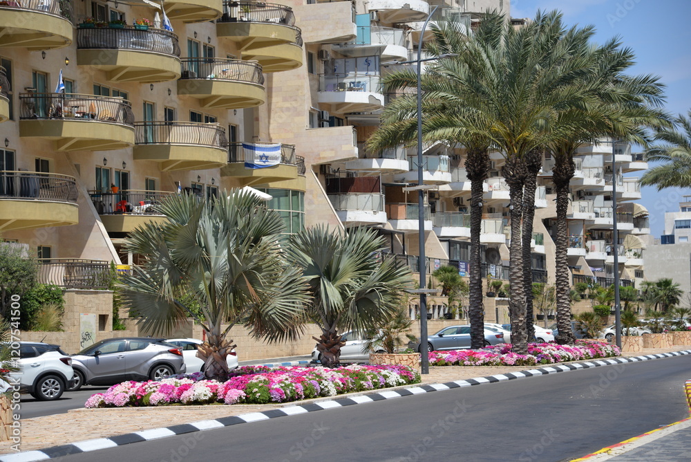 Obraz premium modern architecture and streets of Israel, road with palm trees, Israeli flag on balcony
