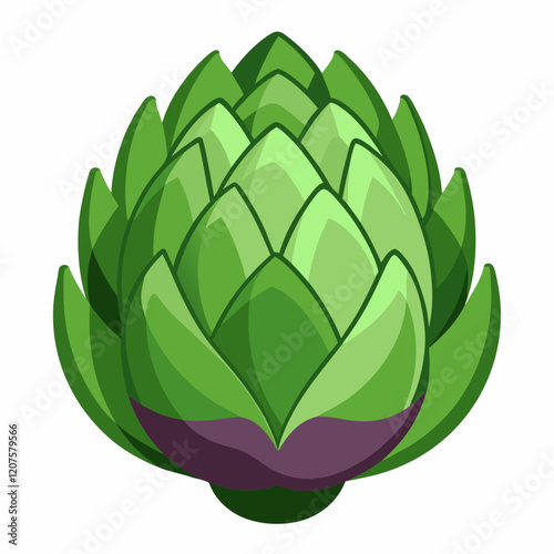 Artichoke vector white background