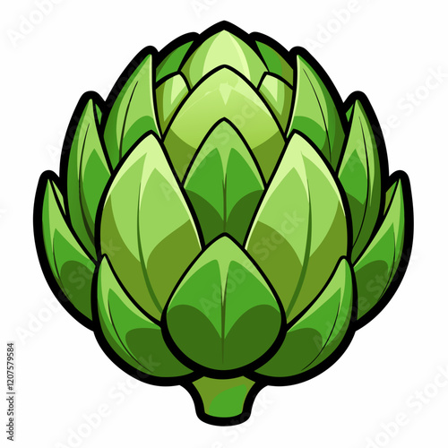 Artichoke vector white background