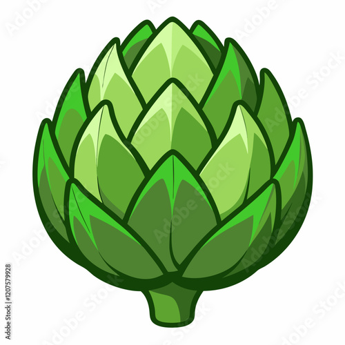 Artichoke vector white background