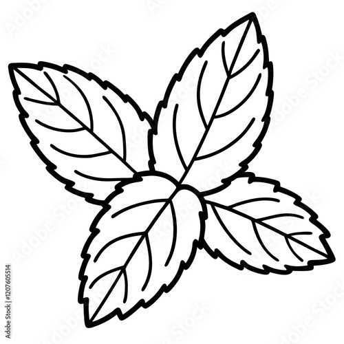 Vector Mint Leaf Illustration