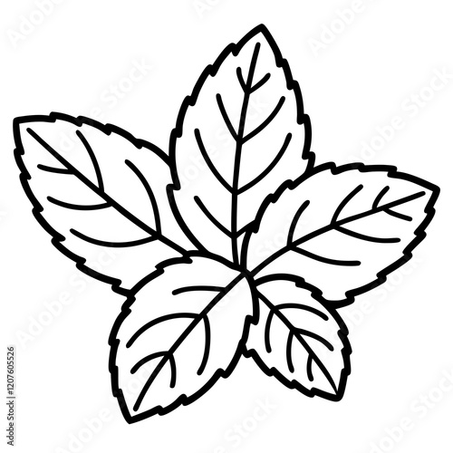 Vector Mint Leaf Illustration