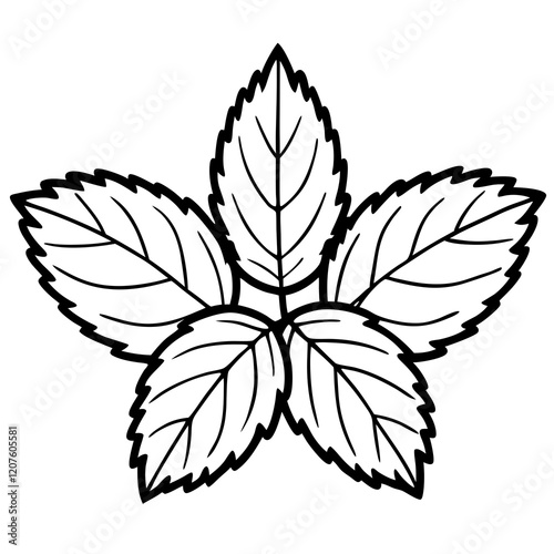 Vector Mint Leaf Illustration