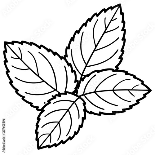 Vector Mint Leaf Illustration