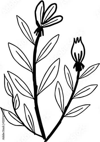 black and white flowers 
