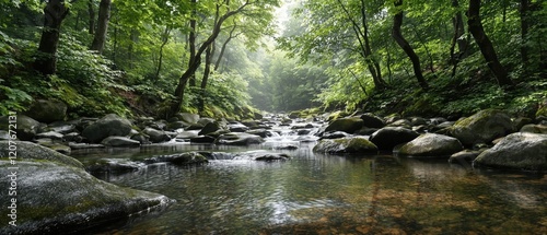 Calm stream babbling over rocks in tranquil forest setting, tranquil, babbling, forest