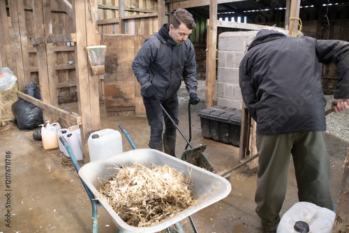 Tableau sur toile Two males  cleaning  out horse stables  mucking  out