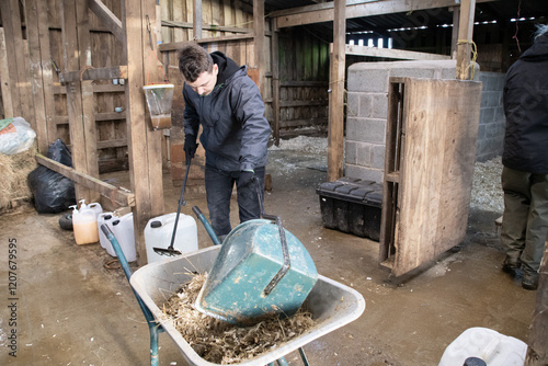 Tableau sur toile Two males  cleaning  out horse stables  mucking  out