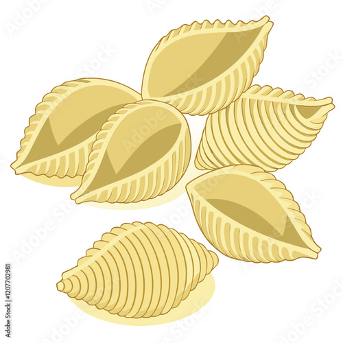  Conchiglie Rigate - Traditional Italian Pasta Shape Isolated on White Background