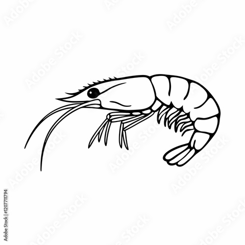 shrimp vector illustration on white background
