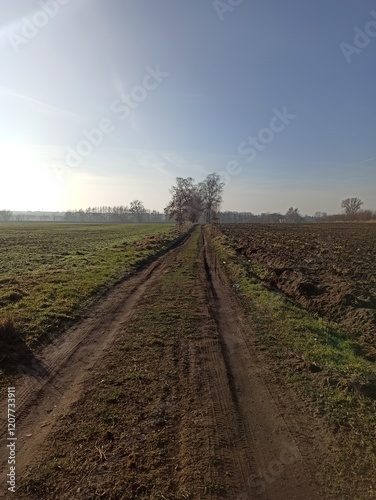 road in the field photo