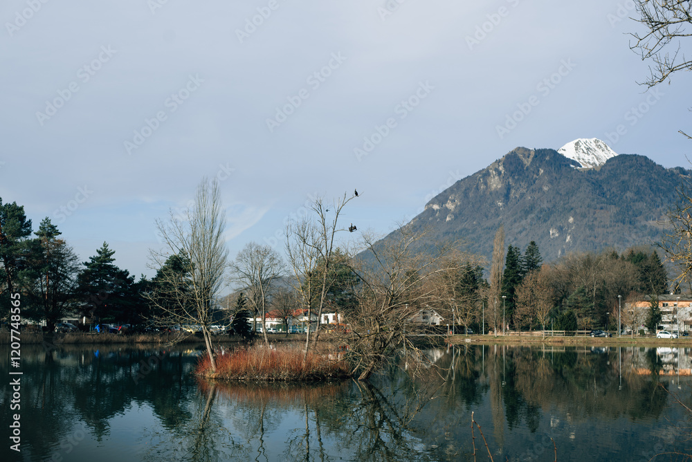 Fototapeta premium fir trees and mountains reflected in the lake
