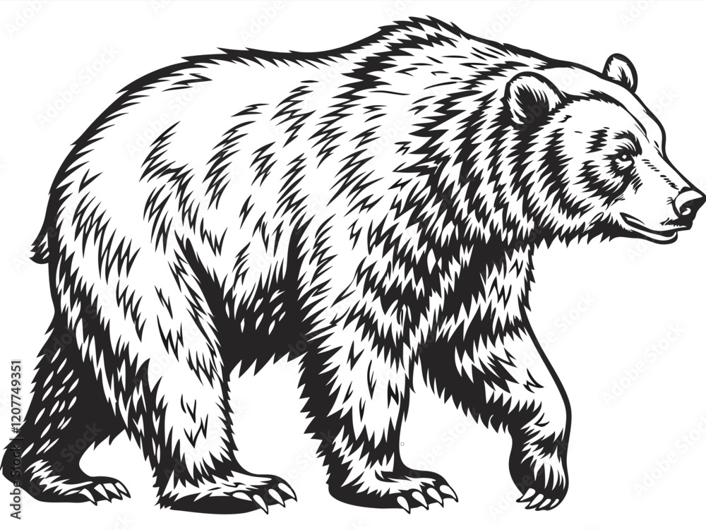 Fototapeta premium Side-View Grizzly Bear Sketch in Black and White - Popular Wildlife Illustration