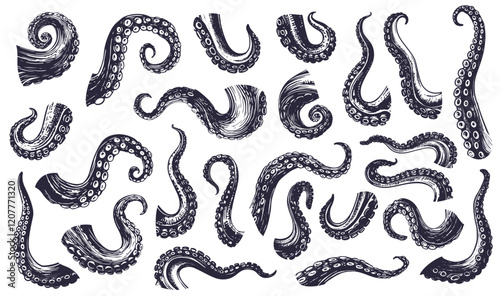 Engraving octopus tentacles. Hand drawn squid monster limbs with sucker, sea ocean kraken set vector illustration