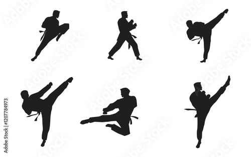 Taekwondo Vector icon design illustration Template