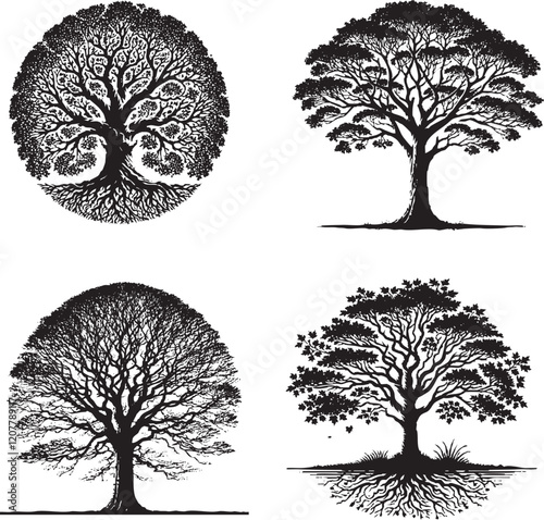 Stunning Sycamore Silhouettes Vector Set - Detailed Botanical & Seasonal Art