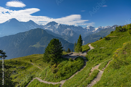 Botanical Garden, Schynige Platte, Jungfrau Region, Bernese Oberland, Switzerland photo