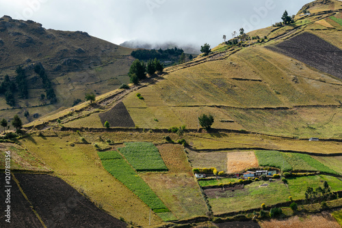 Cotopaxi Province, Ecuador photo