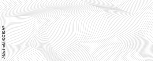 Abstract gray wave dynamic curve lines background. Energy technology concept modern backdrop design for business, presentation, banner.