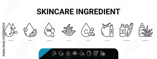 Skincare Ingredient Line Banner Web Icon Set Vector Illustration, Hyaluronic Acid Vitamin C Aloe Vera Collagen Coconut Oil Cucumber Extract Seaweed Extract