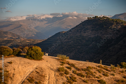 Sunset over the hills behind Granada and wide landscapes with the snowy Sierra Nevada behind, Granada, Andalusia, Spain photo