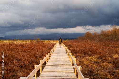 Wooden boardwalk, ecological trail on dry golden grass against the background of a dark stormy cloudy sky. National Park, Ispani sphagnum bog in Kobuleti, Georgia in spring photo