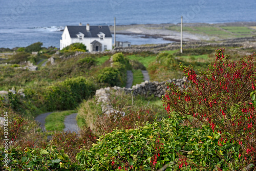 Inishmore, largest of the Aran Islands, Galway Bay, County Galway, Connacht, Republic of Ireland photo