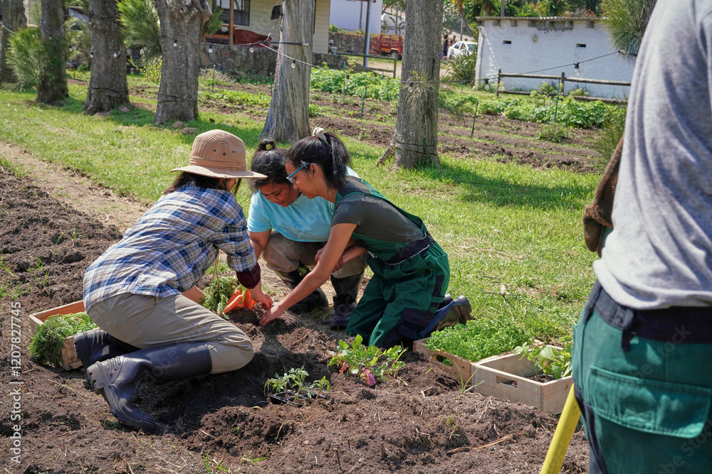 Group of employees working in vegetable garden Group of employees working in vegetable garden