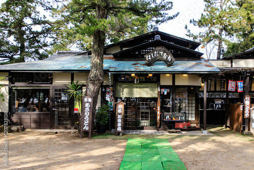 Фотография Traditional Japanese Tea House in a Serene Forest Setting, Amanohashidate, Kyoto