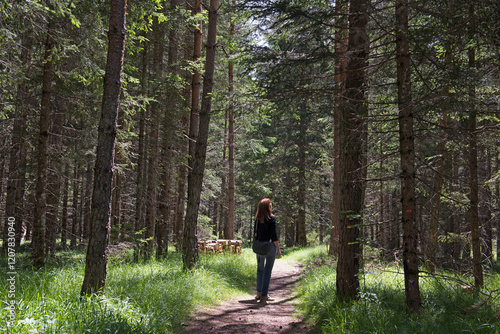 Walker in spruce forest, South Tyrol (Alto Adige), Italy photo