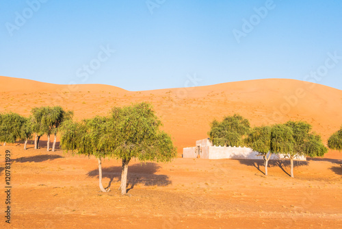 Villa at The Thousand Nights Camp in the Sharqiya Sands, formerly Wahiba Sands, desert region, Sultanate of Oman, Arabian Peninsula photo