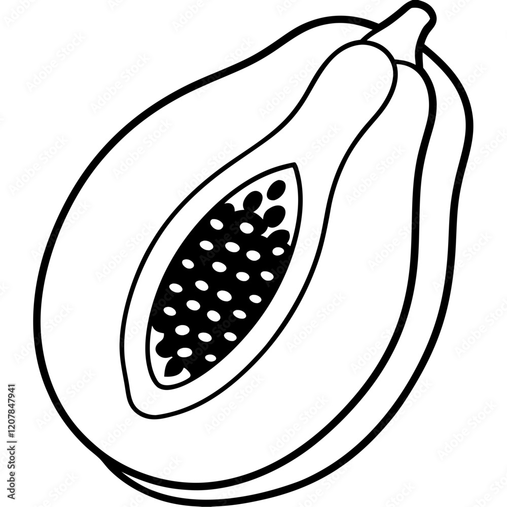 Papaya Contour Vector Illustration Papaya Contour Vector Illustration