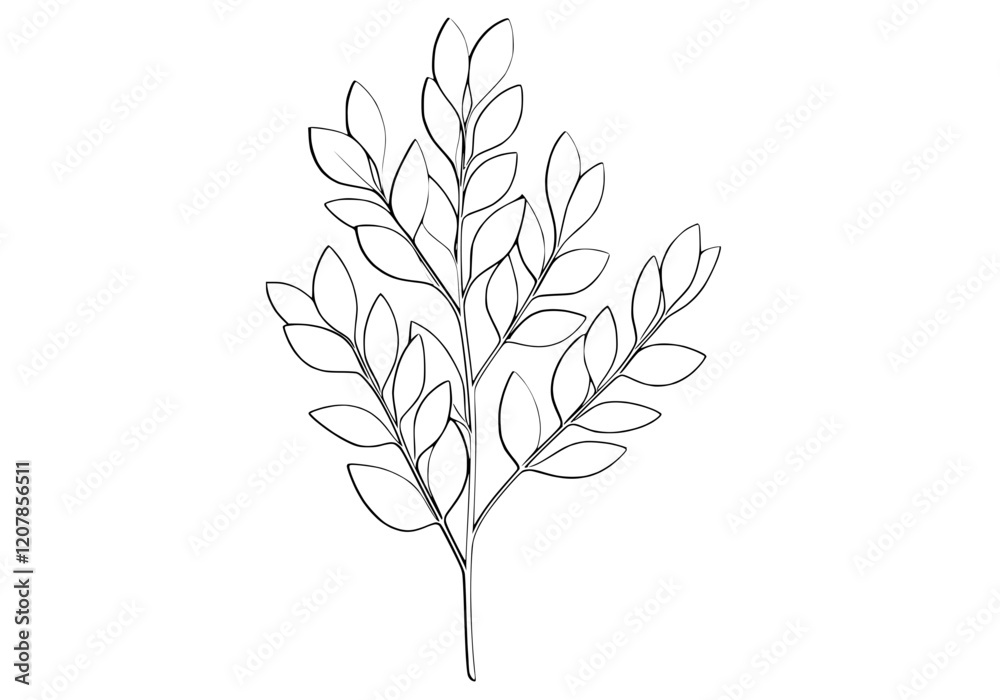 Leafy branch botanical illustration with detailed leaves and elegant design