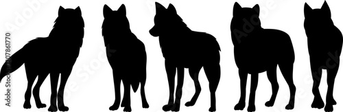 wolves standing black silhouette vector