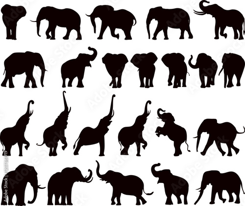 elephants in different poses silhouette set, vector collection
