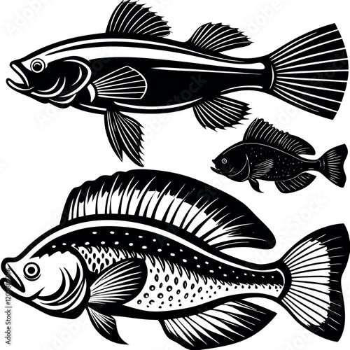 Set of fish silhouettes Vector Design. Treandy Fish Silhouettes Vector. photo