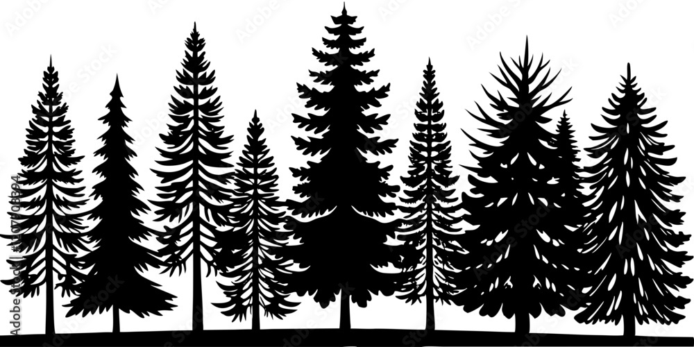 Obraz premium Coniferous Tree Silhouette Forest Illustration