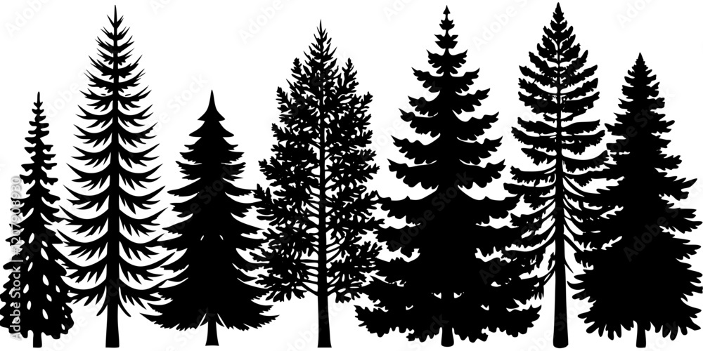 Fototapeta premium Coniferous Tree Silhouette Forest Illustration