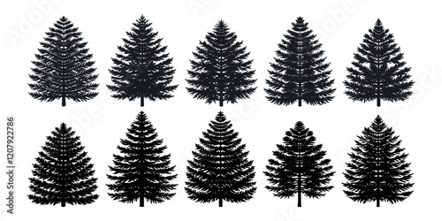 Artificial Norfolk Pine full Tree white background 