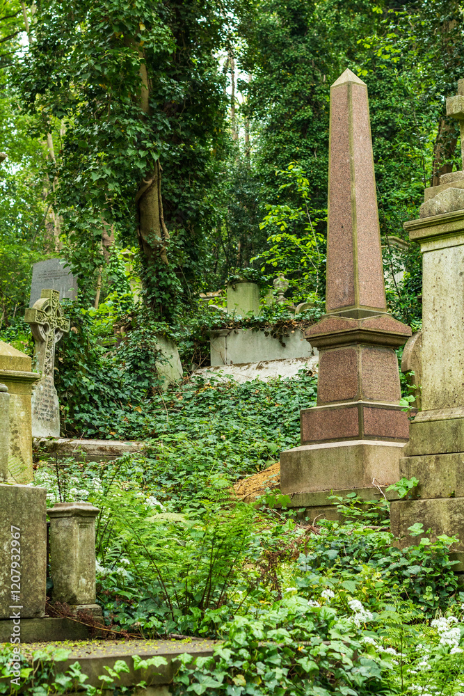 Quiet Green Cemetery Scene with Monuments Surrounded by Vegetation Quiet Green Cemetery Scene with Monuments Surrounded by Vegetation