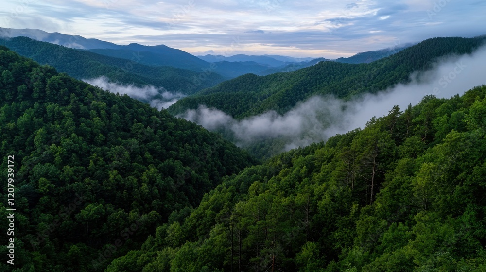 Fototapeta premium A breathtaking view of dense green mountains enveloped in mist at twilight, showcasing rolling hills and deep valleys under a cloudy sky