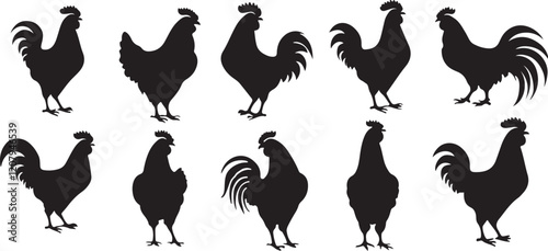 Chicken silhouettes