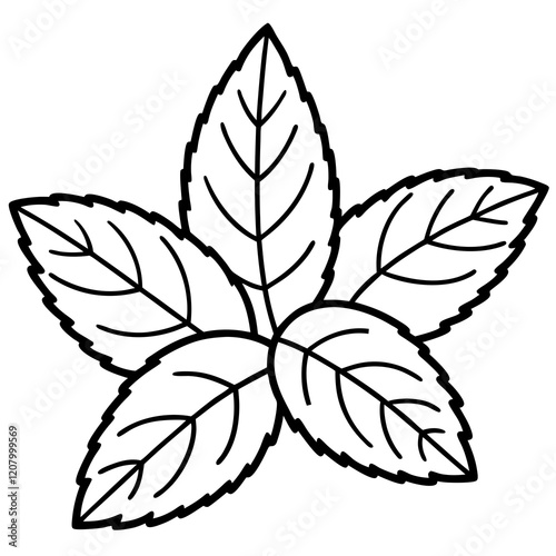 Minimalist Mint Leaf Design