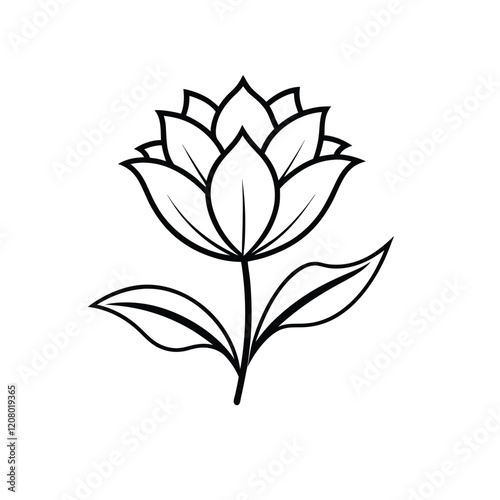black and white lily