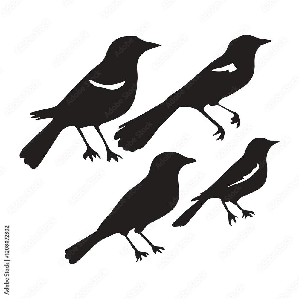 Obraz premium Bird silhouette vector icon logo. 