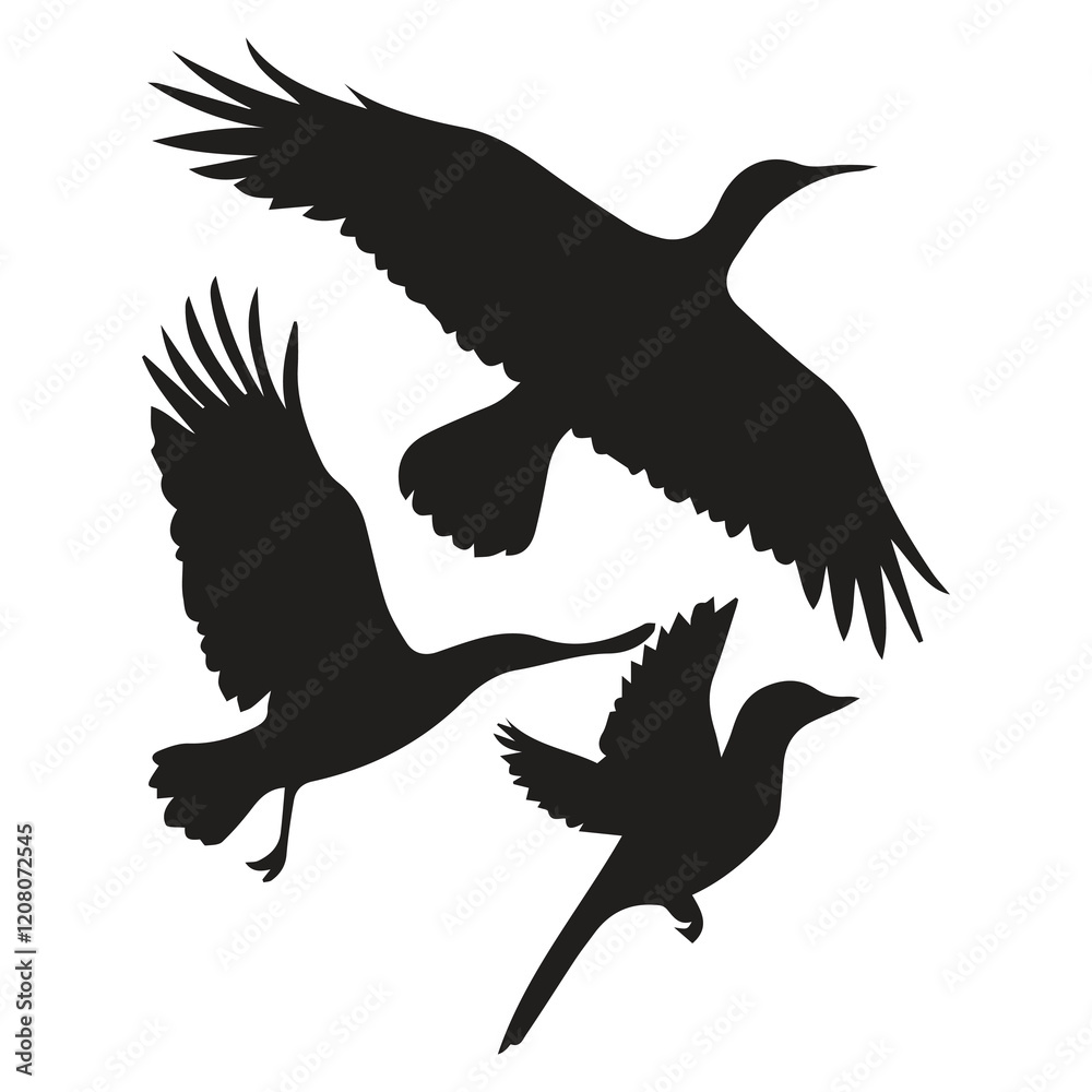 Fototapeta premium Bird silhouette vector icon logo. 