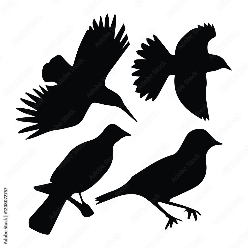 Obraz premium Bird silhouette vector icon logo.