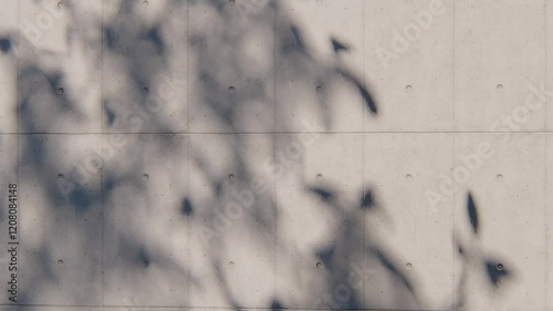 shadow overlay wall texture sunlight leaf shade abstract 3d render. shadows light nature plant leaves branch tree foliage design backdrop. wallpaper mockup background white effect minimal natural.