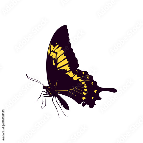 Assorted vibrant butterflies in various colors and patterns, colorful butterflies. Monochrome Insect butterfly black winged gorgeous insect set isolated vector illustration