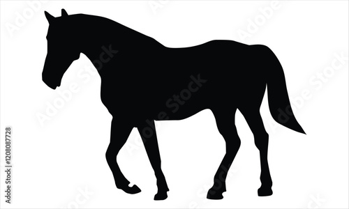 horse silhouette isolated on white background photo